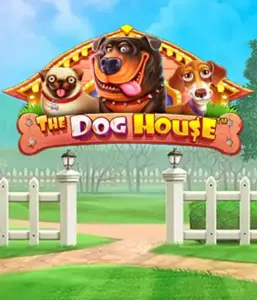 From Pragmatic Play comes The Dog House Slot, featuring a fun-filled adventure among charming canines. Enjoy gameplay elements including free spins, designed for providing entertaining gameplay. Ideal for those who enjoy an amusing setting with a chance for big wins.