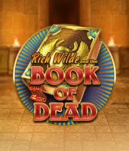 Dive into the thrilling world of Book of Dead by Play'n GO, featuring vivid graphics of Rich Wilde's journey through ancient Egyptian tombs and artifacts. Uncover lost riches with exciting mechanics like free spins, expanding icons, and a gamble option. Ideal for adventure seekers with a desire for thrilling discoveries.